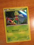 Treecko #XY36 - Pokemon Promo