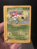 Bellsprout #68 - Pokemon Aquapolis