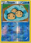 Tympole [Reverse Holo] #33 - Pokemon BREAKpoint